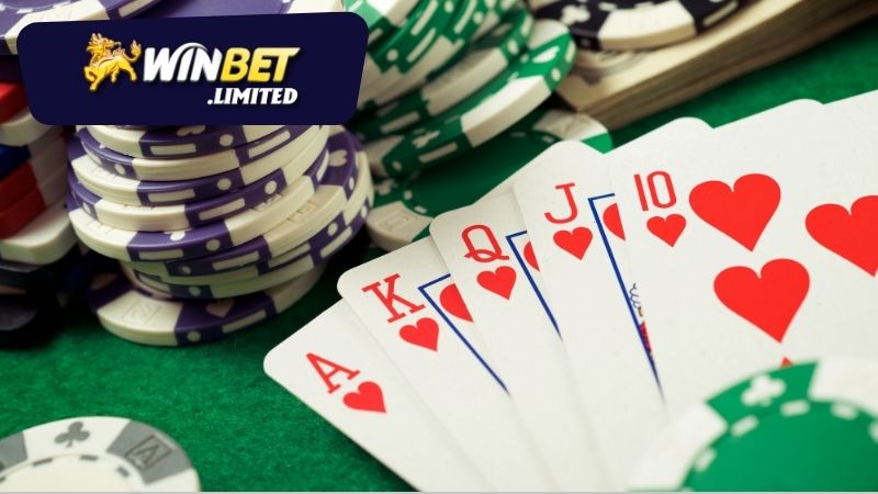Các loại hình cá cược tại Winbet