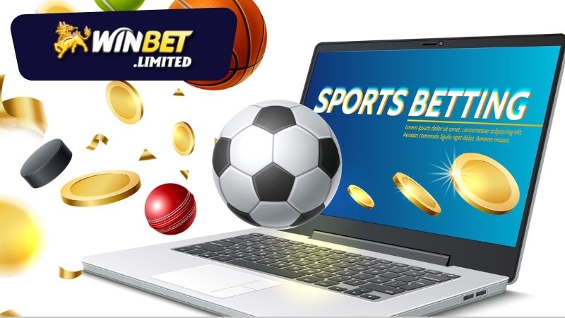 Các loại hình cược thể thao tại Winbet