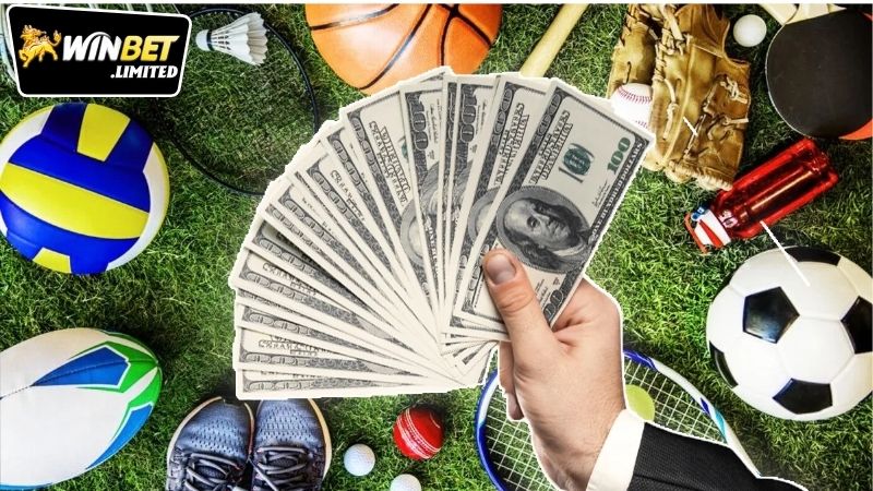 Chiến thuật đặt cược theo phân tích thống kê và soi kèo