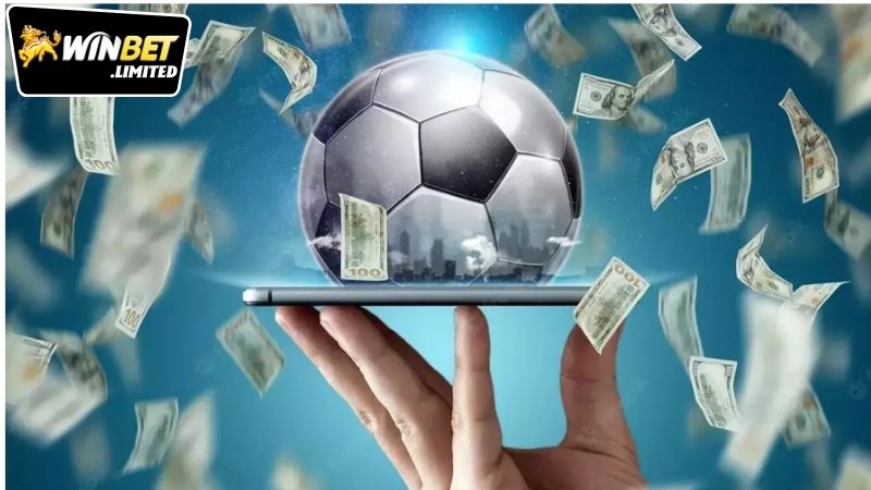 kinh-nghiem-cuoc-the-thao-winbet-tu-cao-thu