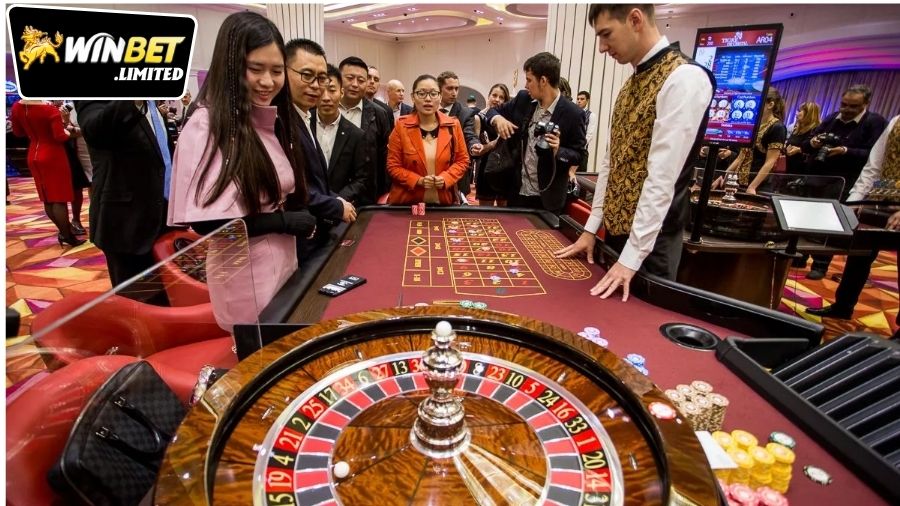 winbet-co-hop-phap-tai-viet-nam